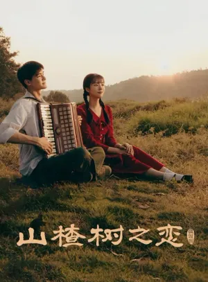 Chuyện Tình Cây Sơn Tra 2025