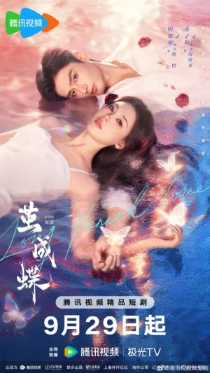 Phá Kén Hoá Bướm 2025