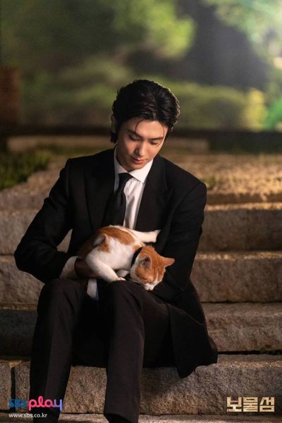 Trái Tim Chôn Vùi Photo