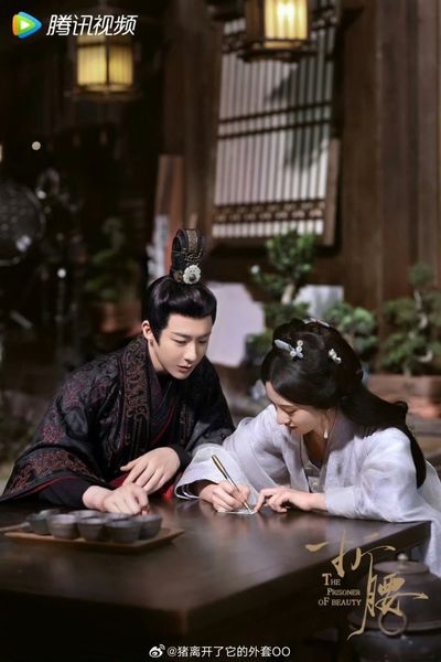 Khom Lưng (Chiết Yêu) Photo