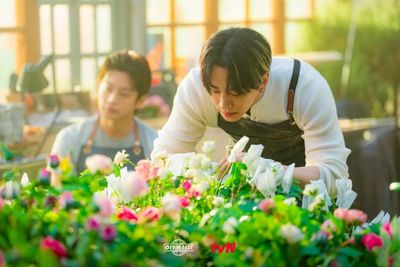 Gia Đình Bão Tố Photo