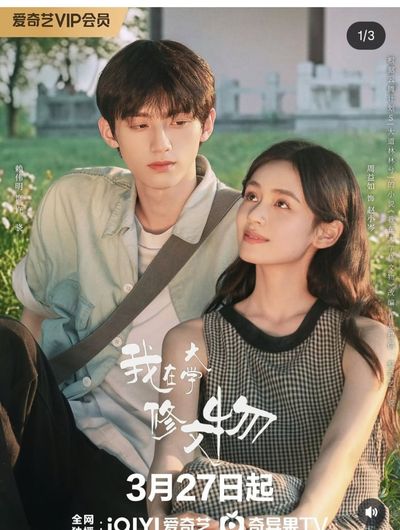 Tôi Ở Đại Học Tu Sửa Văn Vật Photo